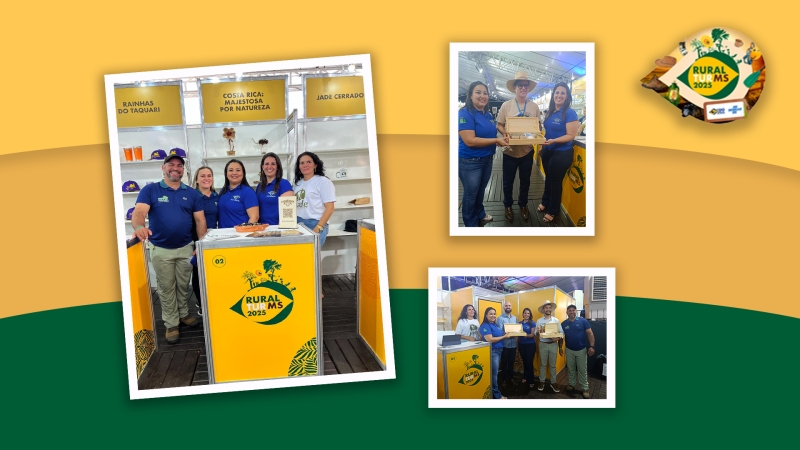 Noticia costa-rica-marcou-presenca-na--ruraltur-2025